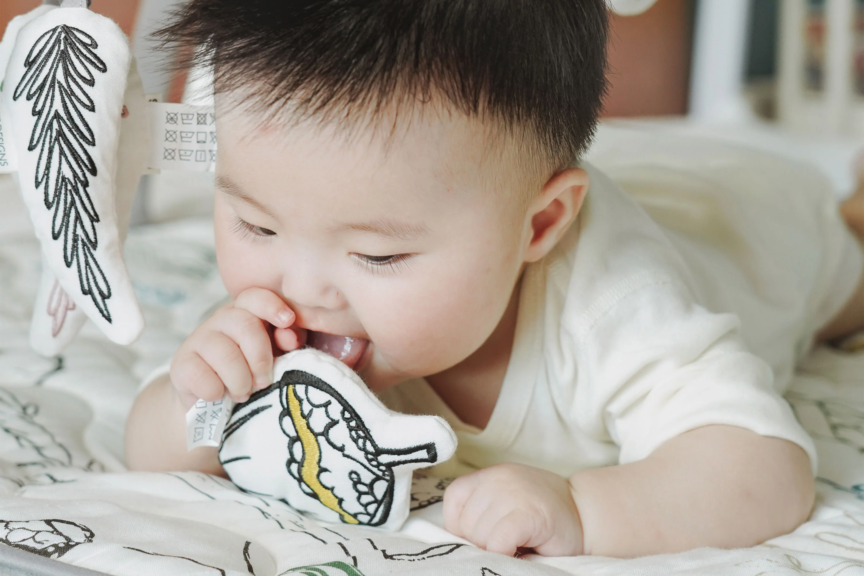 Baby Play Mat & Activity Gym - Image 5